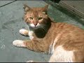 Walk With Me Istanbul (Part 1)