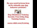 Dog Obedience Training Tips Dog Obedience Training Tips