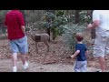 BEER SHOTGUN