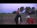 free horse training video....clydsdale first ride.. free horse training video....clydsdale first ride..