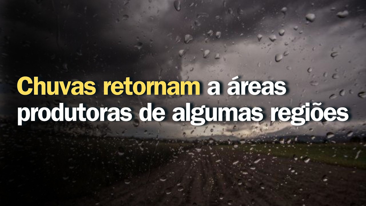 Previsão do tempo | Brasil 15 dias | Chuvas retornam a áreas produtoras de algumas regiões
