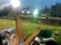 videos de Meu palmeiras