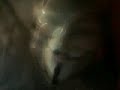 Video Cam Direct Upload ... World Builder Bruce Branit high quality hologhaph hologram holographic strange man branitvfx visual effects 