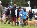 Highland Field Sports Fair - Moy Estates
