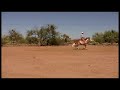 Paint Horse cutting practice Paint Horse cutting practice
