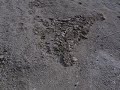 Salton Sea Envirnomental Disater Part 2
