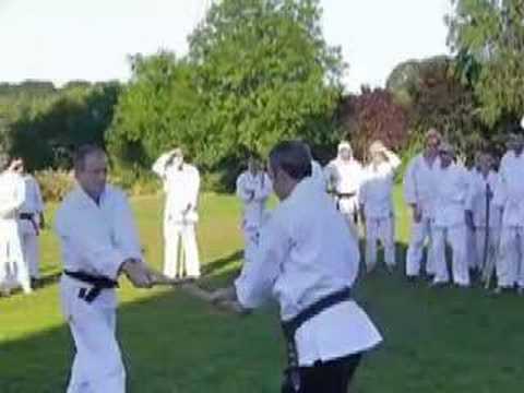Aikido Summer camp with Daniel Toutain