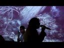 arr. lev migachoff. godi mafett rap,
rebeca obreg�n soprano, mar�a de los �ngeles mezzo soprano,
enrique ben�tez  tenor,  alejandro servin bar�tono
la peque�a camerata de l.m.
frank morales, vladimir tokarev, vladislav badiarov (vl.), gilberto nu�ez, djamilia  rovinskaia (violas), luba  kouzminikh (vc), lev  migachoff (cb, director), elena migachova (pno).
invitados: beatriz foncerrada (fl), patrick dufren (ob), luis obreg�n (cl), mauricio soto, (c.fr) julian luis gonz�lez  trompeta, federico foglia (mix, m�ster de audio), luis fernando suarez (ing. de son.),  alfredo arraiga (c�mara), lev migachoff (c�mara, mix de video). grabado en mayo-junio 2008, quer�taro, qro, m�xico.