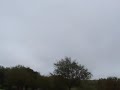 we got bored (short vid)