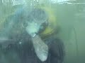 Ditch n Dawn Music Video