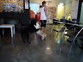 6 Sept 2008 Let's Dog Cafe