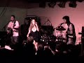 The Cranberries Cover - Animal Instinct