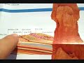 Bryce Canyon