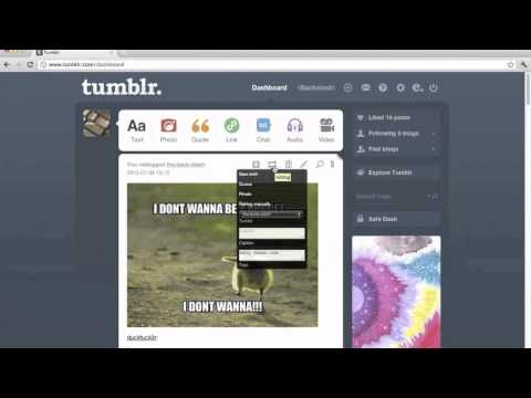 how to get more tumblr reblogs