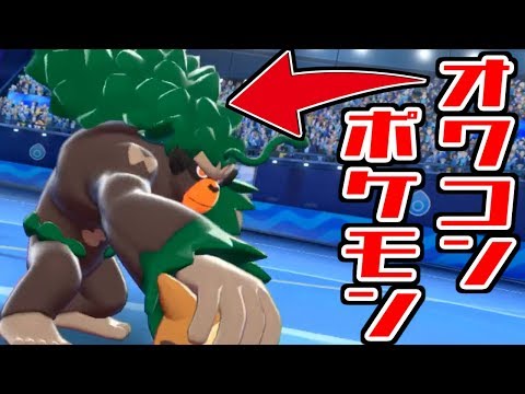 動画