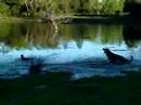 Doquinha e Layla , perip�cias aquaticas