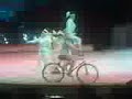 BICICLETAS IMPERIALES