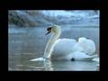 videos de M. Ravel: Histoires Naturelles 