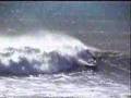 1999 World Kneelos Titles
