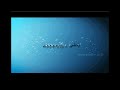 musique achbal sidi kacem mp3