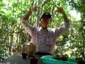Ho Chi Minh song (vietkong song)