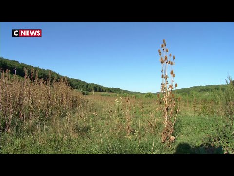 Image de prévisualisation YouTube