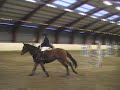 Jumping Butterfly, Alv�en 2008