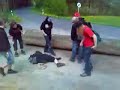 M�nnertag: Mehrfacher Beinbruch durch Baumstamm