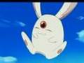 videos de Modona And Modoki