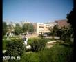 amer diab -osad ainy