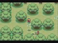 Pokemon Shiny Gold chapter fifteen: Into Ilex Forest!