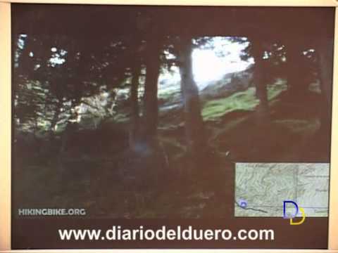 Imagen de previsualización de YouTube