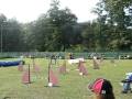 Nikol a Cleo - Neoficiální závody agility Blansko 28.9.