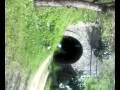 videos de galleria  turriti