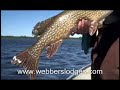 Exclusive Fly-in Fishing at Webber\