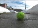 Tennis Ball Frenzy