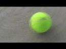 Tennis Ball Frenzy