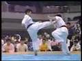 Kyokushin Karate KO (high kick)