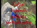 Siembra de la Patatas