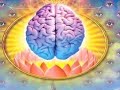 Linear Society, non-Linear Consciousness