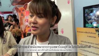 บ้านสงเคราะห์สัตว์คุณป้าสำรวย