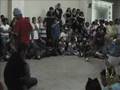 DFX crew vs black and white DFX crew vs black and white