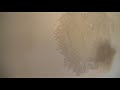 Textured Walls