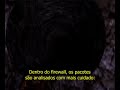 tcp ip parte 2