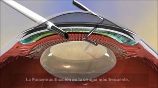 Sergio Rivera Guerra-7
