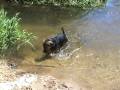 videos de Vicki 2