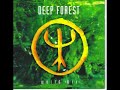 Bekijk muziek clip van Deep Forest met Desert Walk