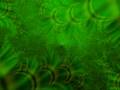 clip video Cosmic Gate Mental Atmosphere The Green Court Remix