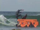 2Nd RAILSLIDE on a Surfboard Josh Sleigh FM: Nobody's heros