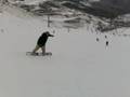 maite y jon a pistes